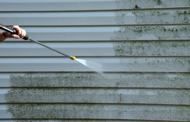 Best Window and Screen Pressure Cleaning in Rolesville, NC
